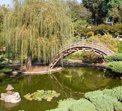 Japanese Garden Bridge